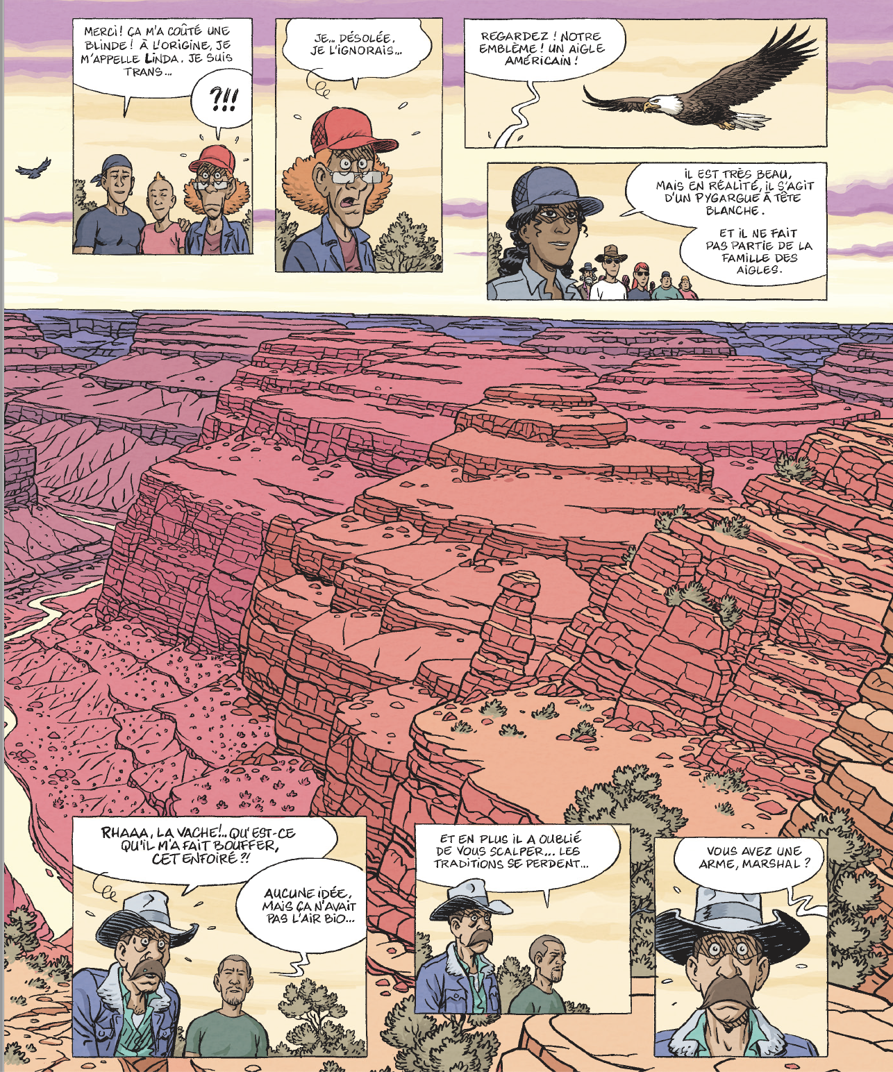 Fausses pistes de Bruno Duhamel, Grand Angle