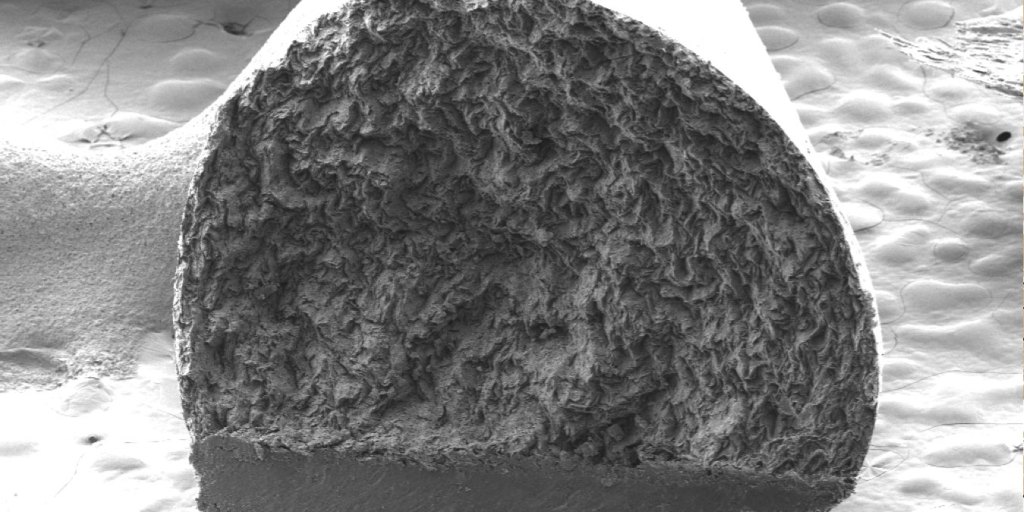 La bande dessinée au microscope (au coeur des outils du&nbsp;dessinateur)