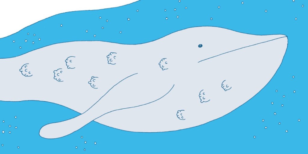 Interviews de Delphine Panique & Jérôme Dubois au festival Formula&nbsp;Bula